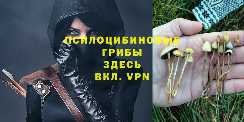 Галлюциногенные грибы Magic Shrooms  Велиж 